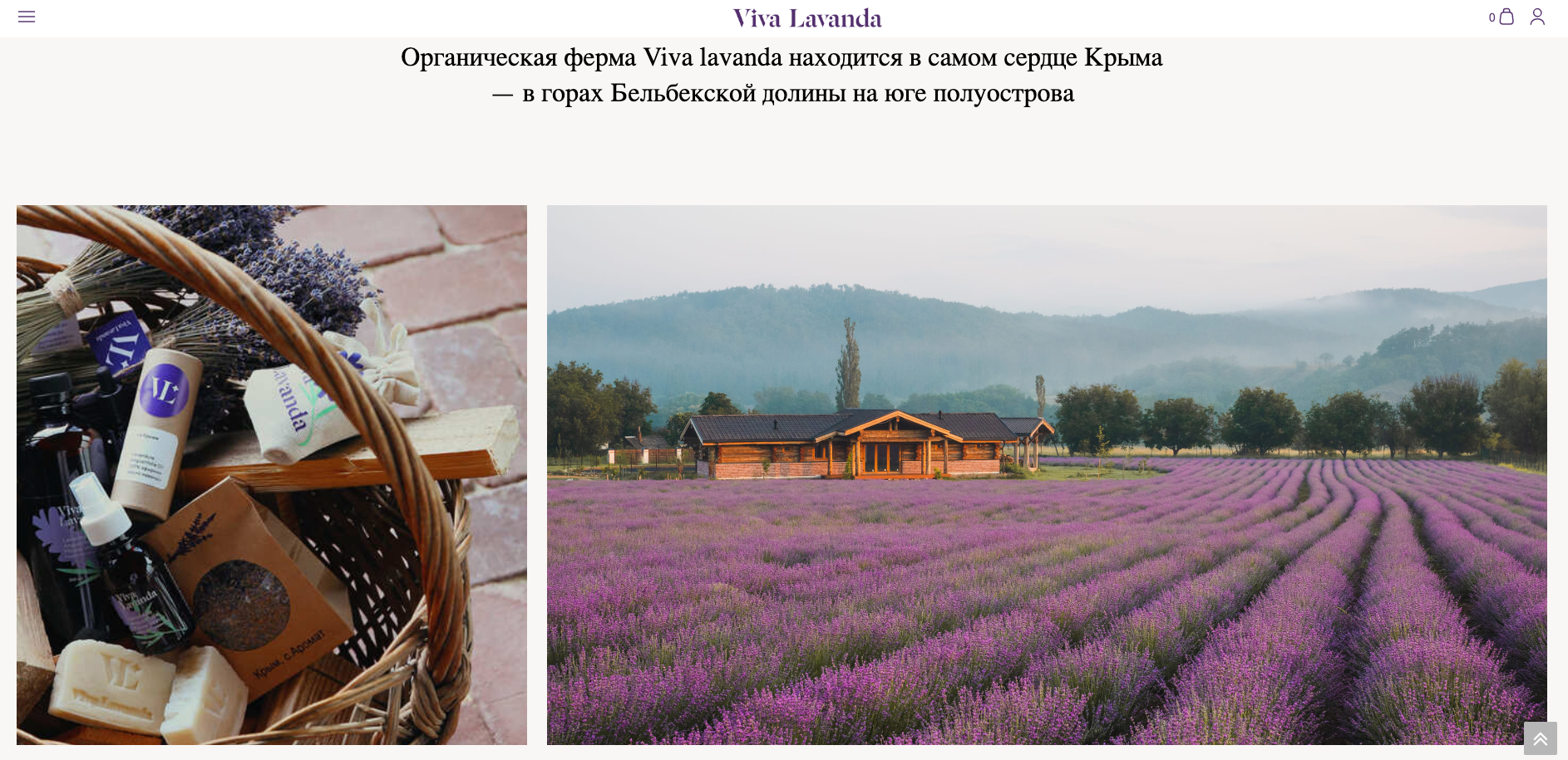 Редизайн сайта viva lavanda и доработка опенкарт